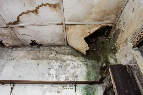 Water Damage Service in Southport