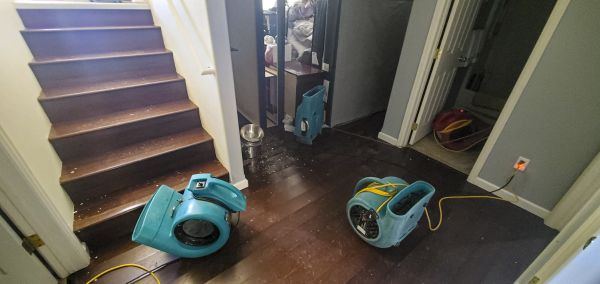Water Damage Remediation in Southport