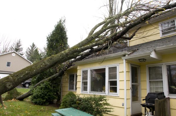 Hurricane Damage Repair in Southport