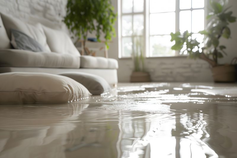Flood Damage Restoration